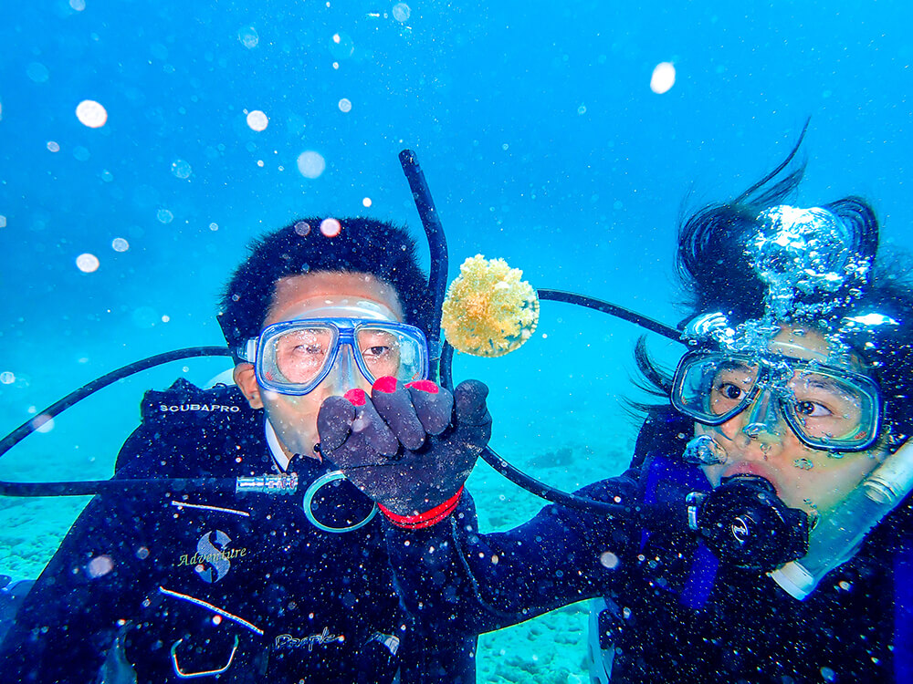 Ishigakijima Diving