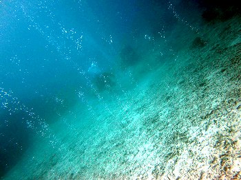 竹富海底温泉1