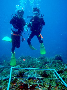 サンゴ礁モニタリング