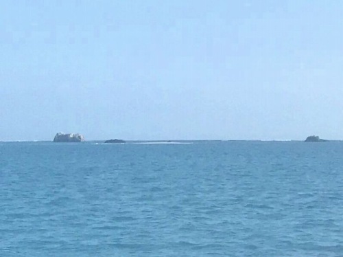 浜島