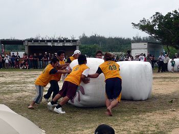 黒島牛祭り1