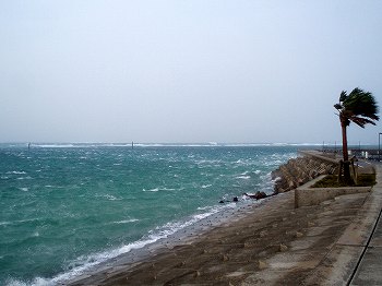 石垣島多田浜