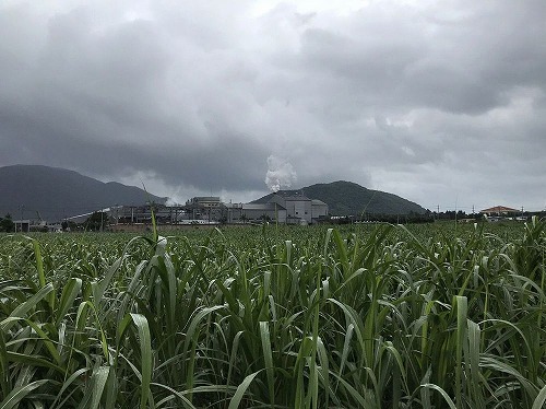 石垣島製糖工場