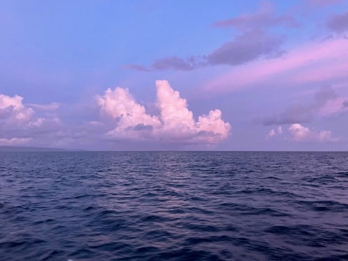 石垣島3