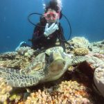 <span class="title">海は快適・陸は灼熱の石垣島？ウミガメとサンゴに癒されダイビング！</span>