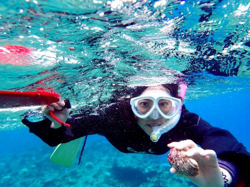 チョウセンサザエ