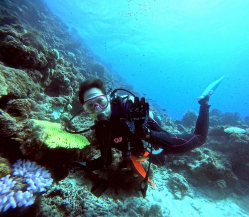 ファンダイビング