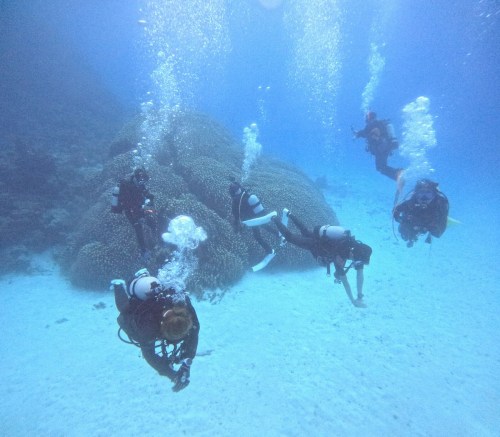 ファンダイビング