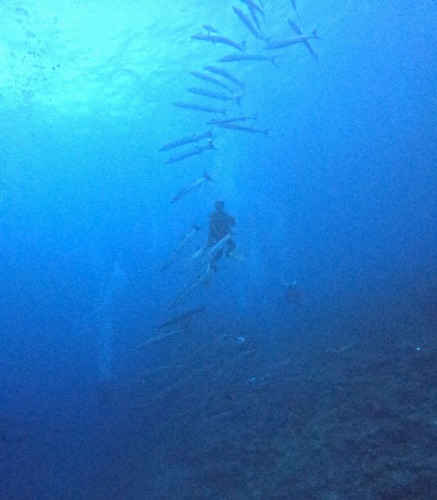 ショツプツアー