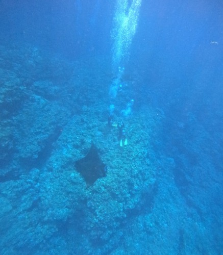 体験ダイビング1