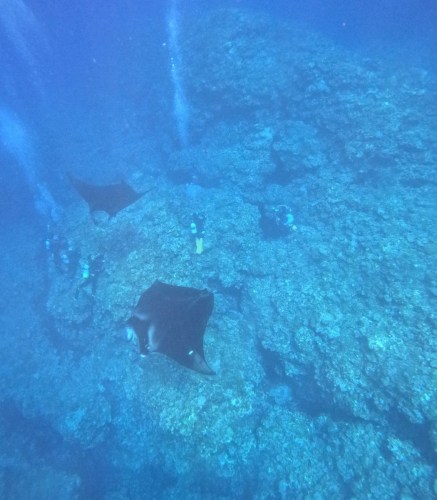 体験ダイビング2