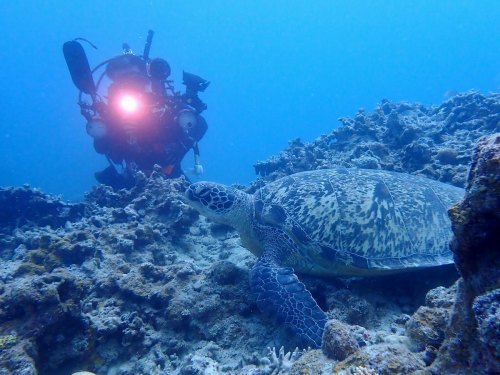 ファンダイビング