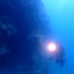 <span class="title">石垣島でサンゴの移植！生き物とサンゴの宝庫名蔵湾でじっくり3ダイビング！</span>