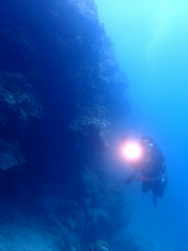 ファンダイビング