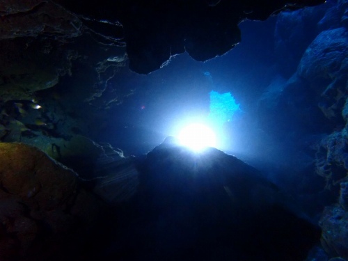 ファンダイビング