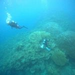 <span class="title">石垣島は北寄りの風で微妙な天気？着後ダイブでサクラグチ2ダイビング！</span>