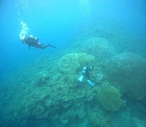 ファンダイビング