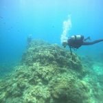 <span class="title">石垣島はついに梅雨明け？大﨑・屋良部崎で少人数ダイビング！</span>