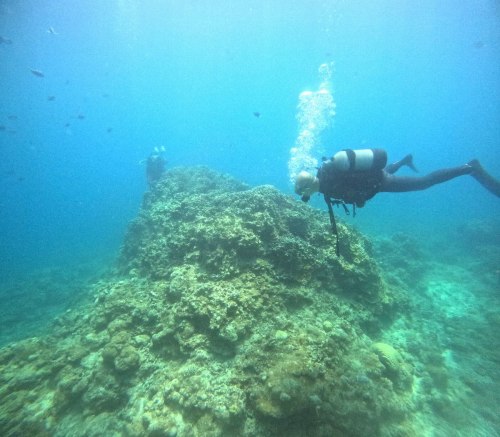 ファンダイビング