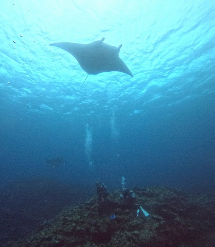 ファンダイビング