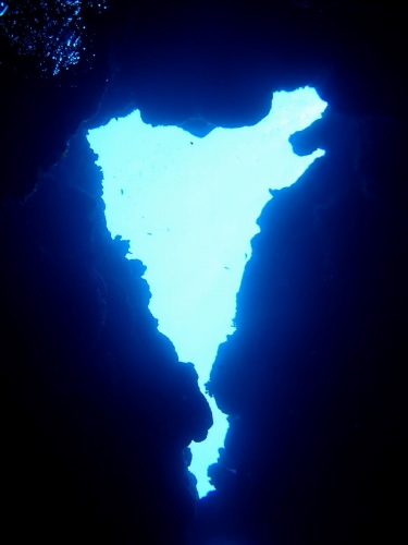 オープンハート