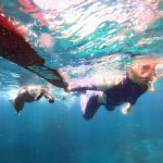 <span class="title">ファミリーシュノーケルで石垣島のマンタに大接近！</span>