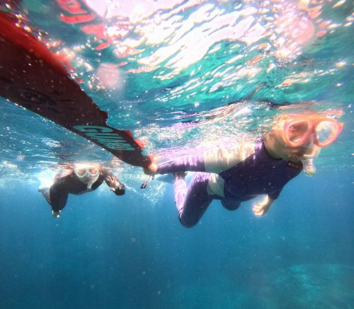 ファミリーシュノーケル