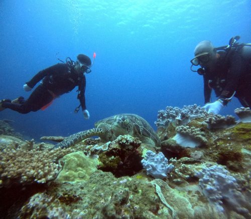 体験ダイビング