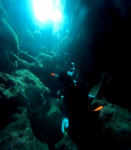 ファンダイビング