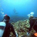 <span class="title">石垣島はもうすぐ夏？マンタの乱舞で大興奮のファンダイブ＆体験ダイビング！</span>