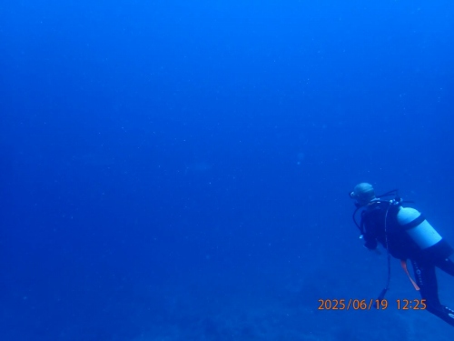 ファンダイビング