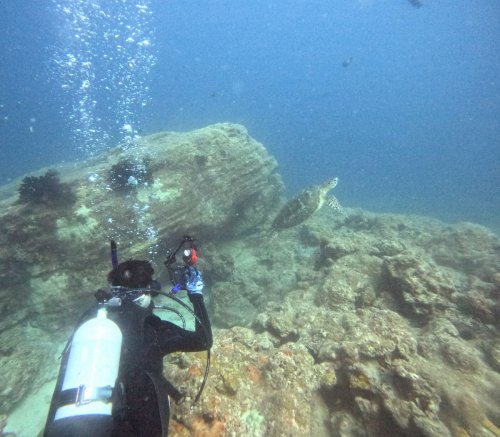 ファンダイビング