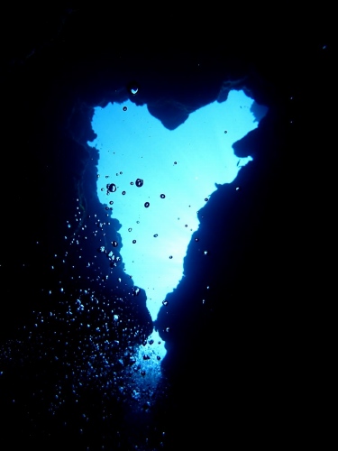 オープンハート