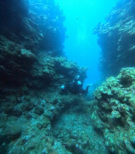 ファンダイビング