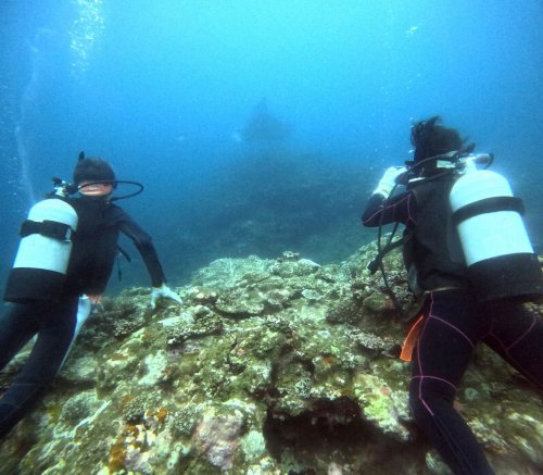 マンタシティポイント