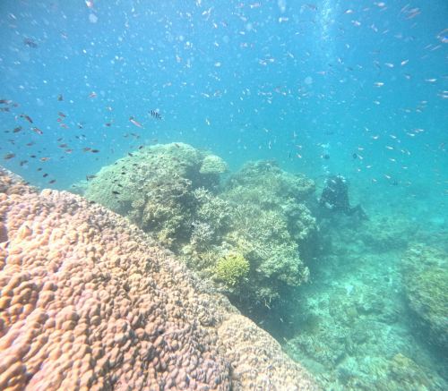 ファンダイビング2