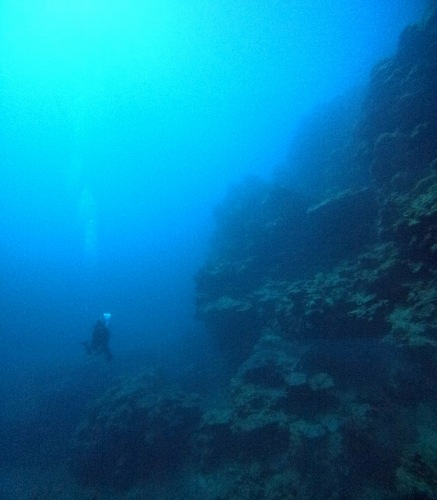 ファンダイビング1