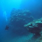 <span class="title">激暑の石垣島！リピーターさんと御神崎水路三番勝負ダイビング！</span>