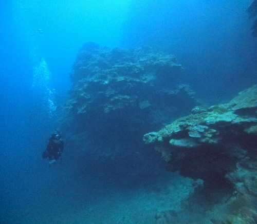 ファンダイビング2