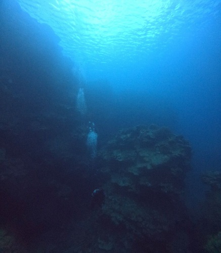 ファンダイビング4