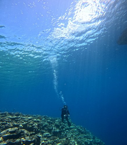 ファンダイビング5