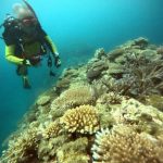 <span class="title">渋めな海況の石垣島？サクッとダイビングで島の食堂アンブレラで牛そば♪</span>