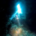 <span class="title">夏復活の石垣島！オープンハートとマンタポイントで2ダイビング！</span>