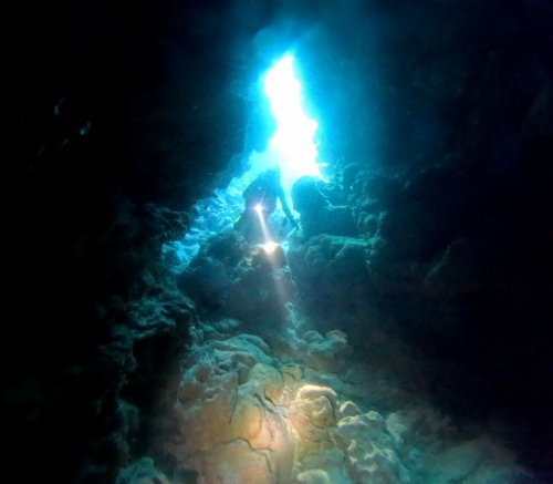 ファンダイビング