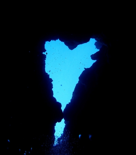 オープンハート