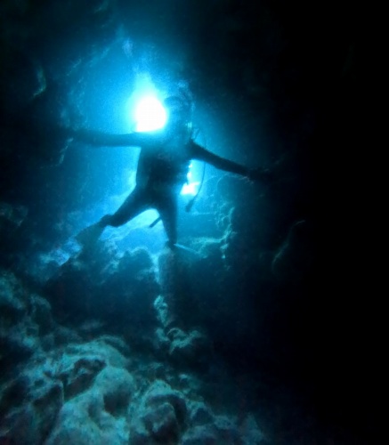 ファンダイビング1