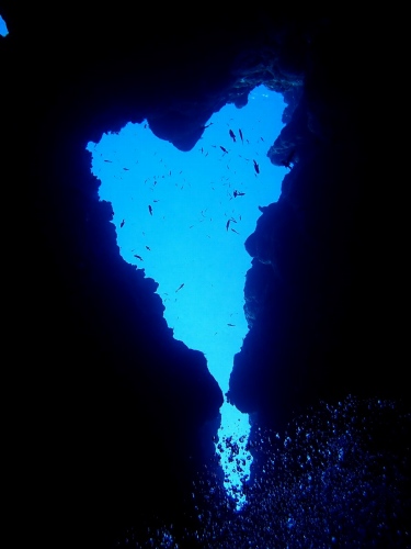 オープンハート