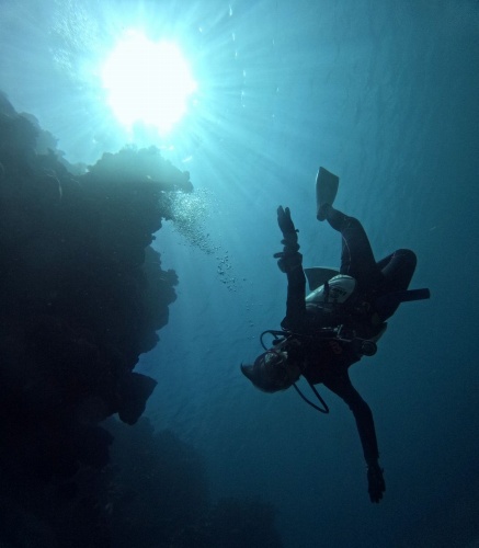 ファンダイビング2