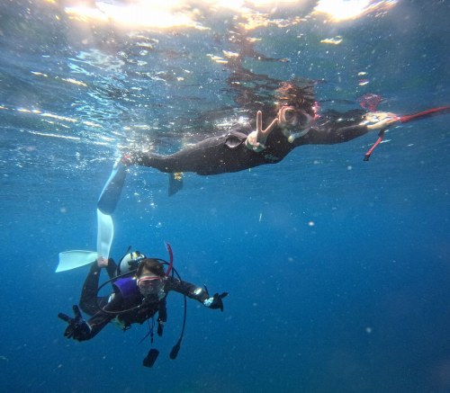 ファミリーダイビング