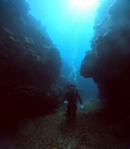 ファンダイビング